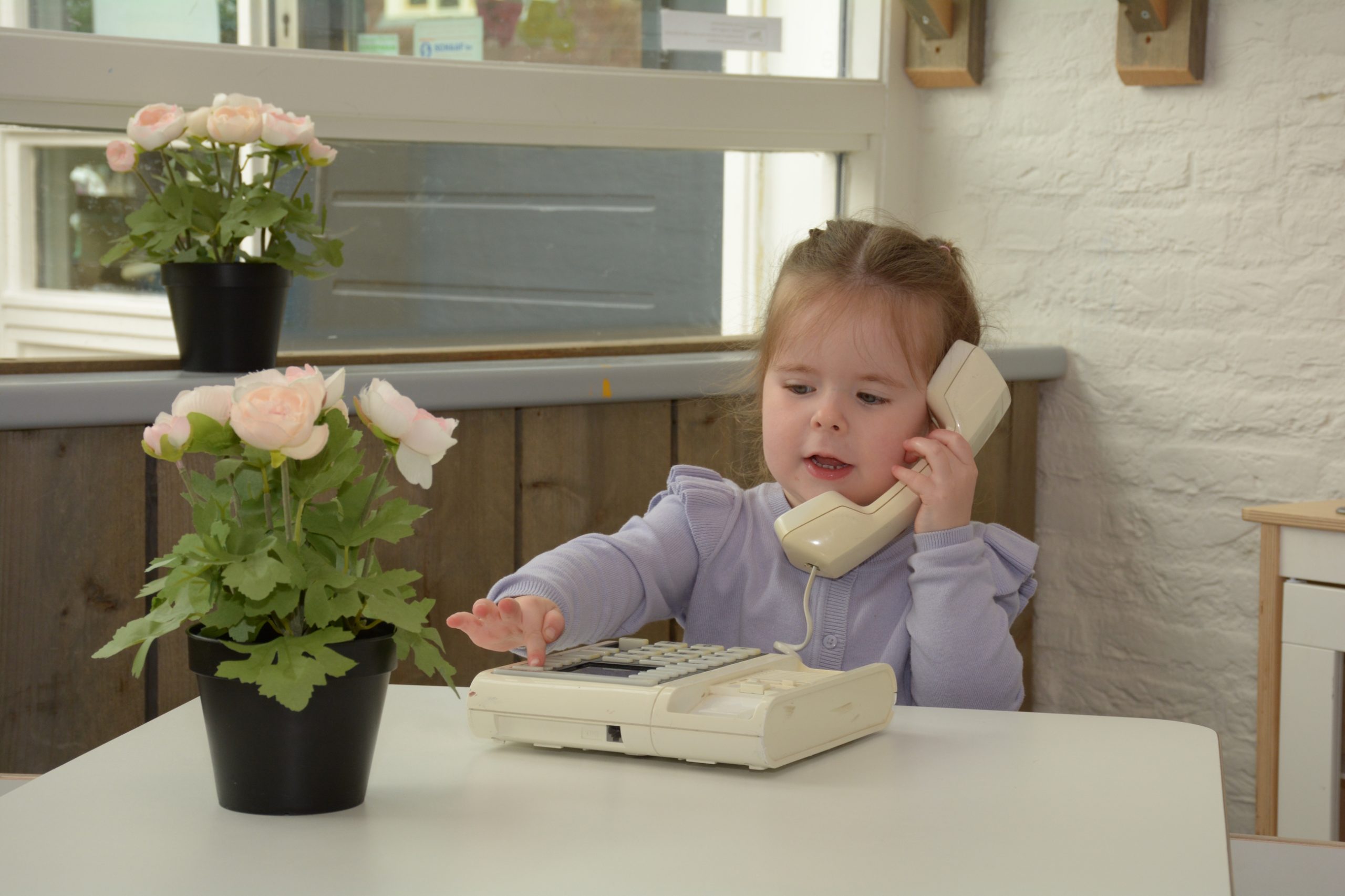 Zeepaardjes Steggerda (5) (verkleind voor website)